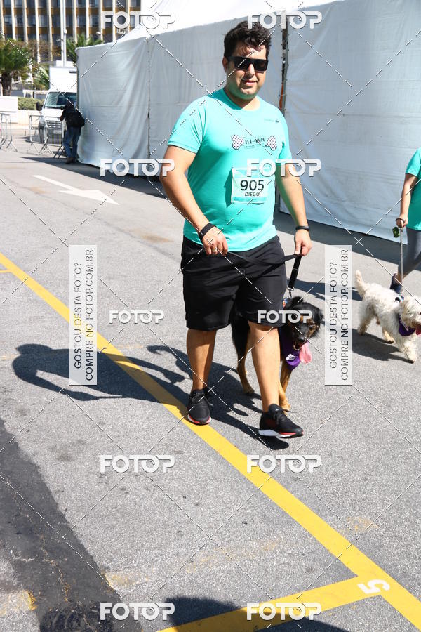 Buy your photos of the event2 Pet Run Shopping Eldorado  on Fotop