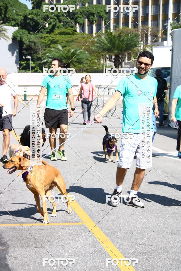 Buy your photos of the event2 Pet Run Shopping Eldorado  on Fotop