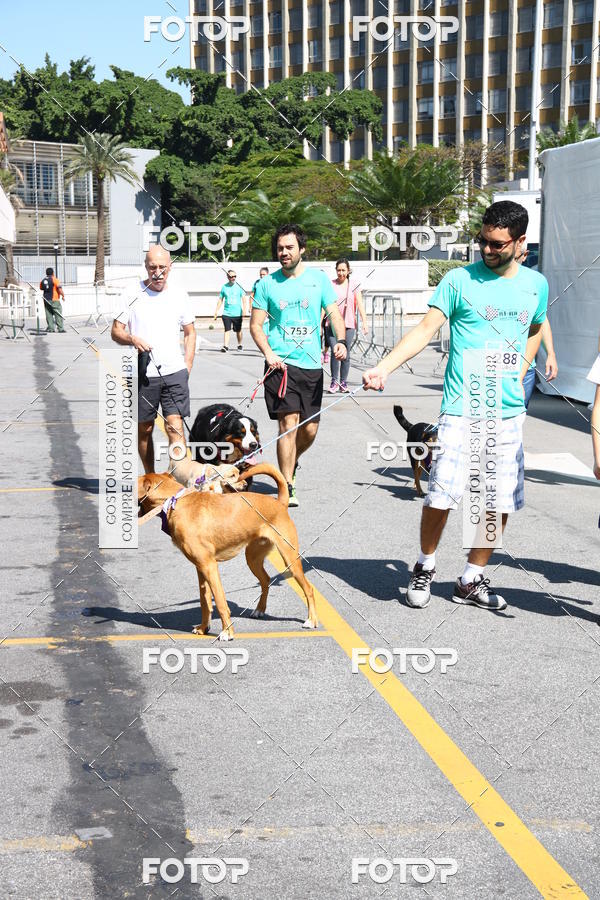 Buy your photos of the event2 Pet Run Shopping Eldorado  on Fotop