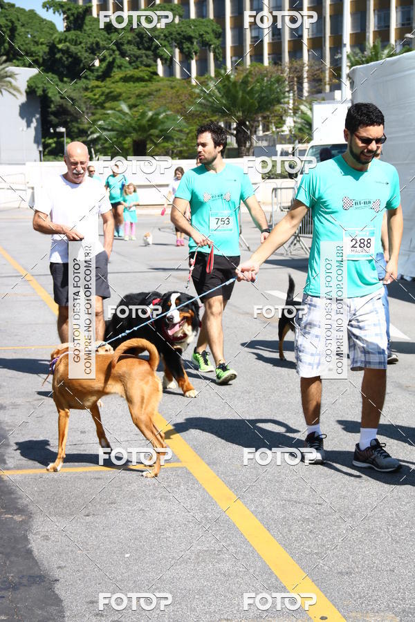 Buy your photos of the event2 Pet Run Shopping Eldorado  on Fotop