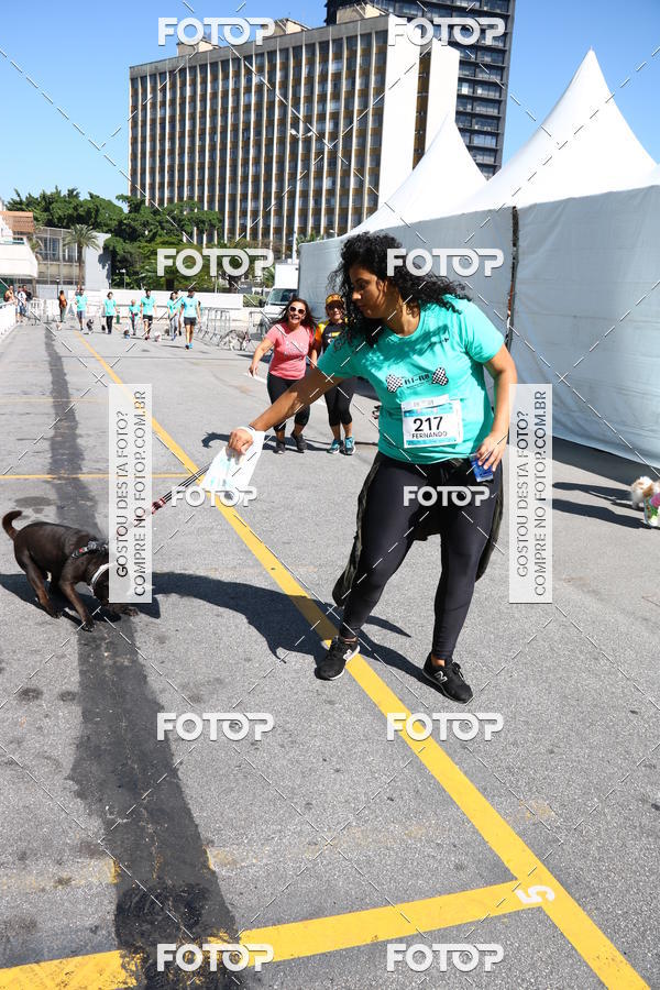 Buy your photos of the event2 Pet Run Shopping Eldorado  on Fotop