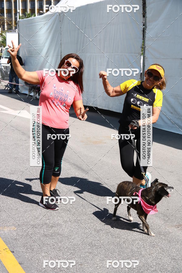 Buy your photos of the event2 Pet Run Shopping Eldorado  on Fotop