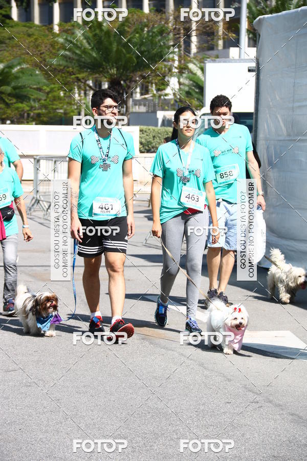 Buy your photos of the event2 Pet Run Shopping Eldorado  on Fotop