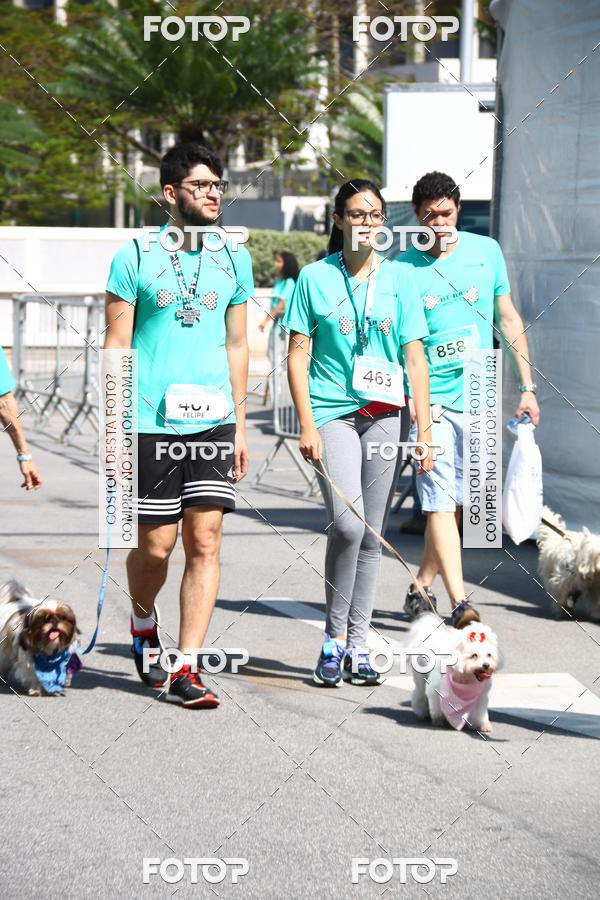 Buy your photos of the event2 Pet Run Shopping Eldorado  on Fotop