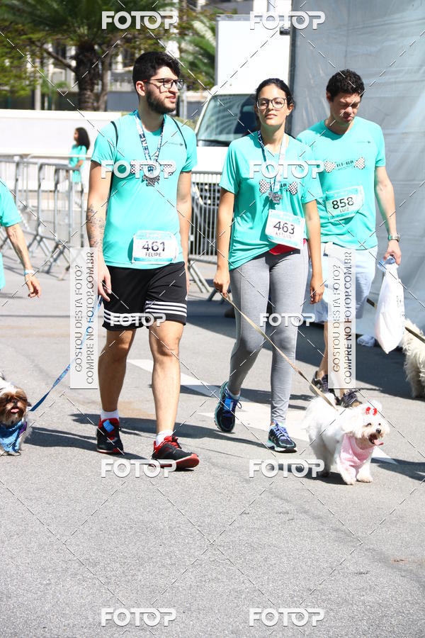 Buy your photos of the event2 Pet Run Shopping Eldorado  on Fotop