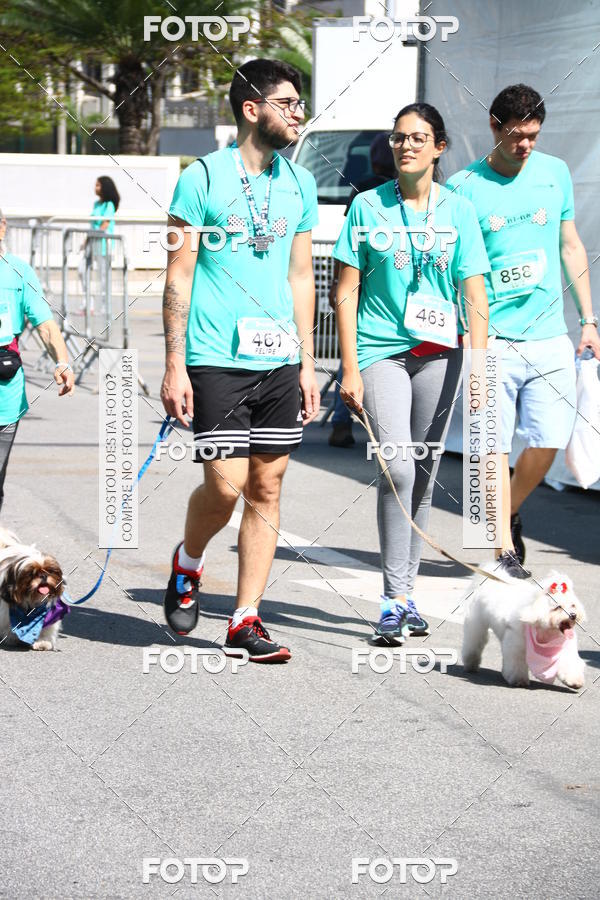 Buy your photos of the event2 Pet Run Shopping Eldorado  on Fotop