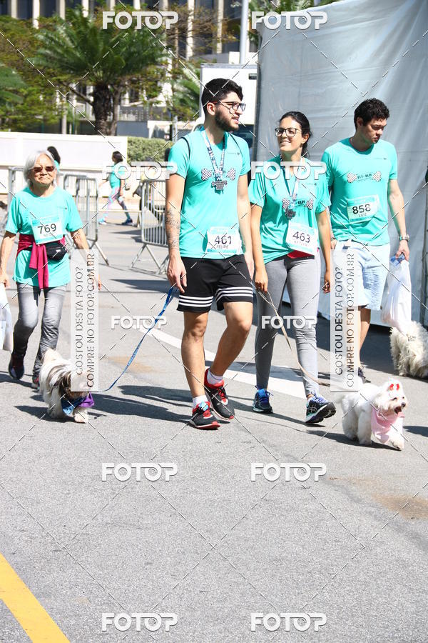 Buy your photos of the event2 Pet Run Shopping Eldorado  on Fotop