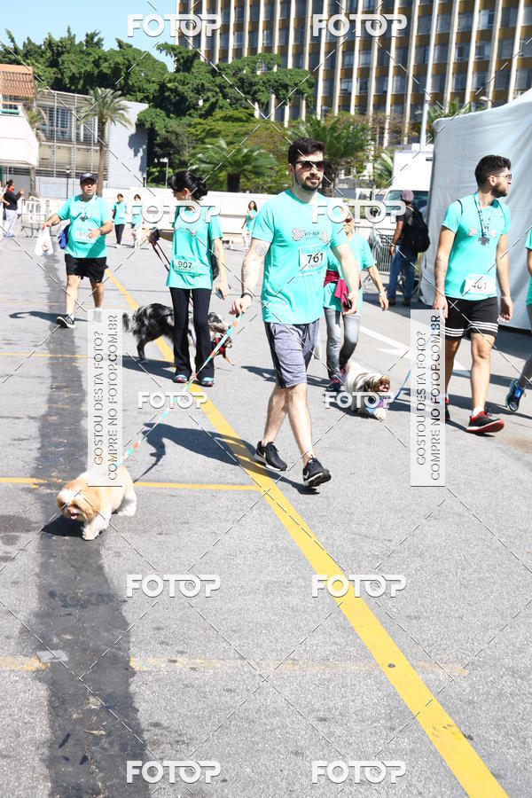 Buy your photos of the event2 Pet Run Shopping Eldorado  on Fotop