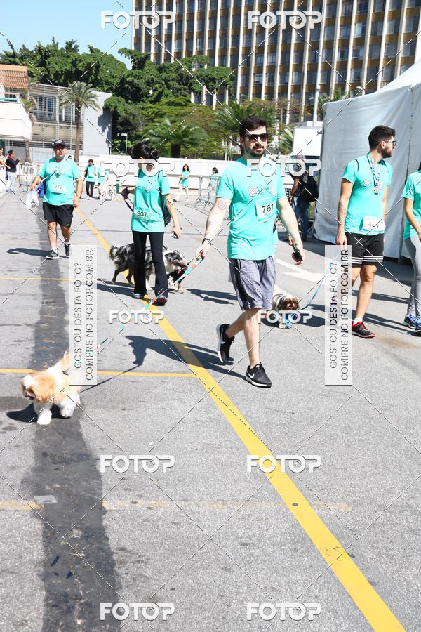 Buy your photos of the event2 Pet Run Shopping Eldorado  on Fotop