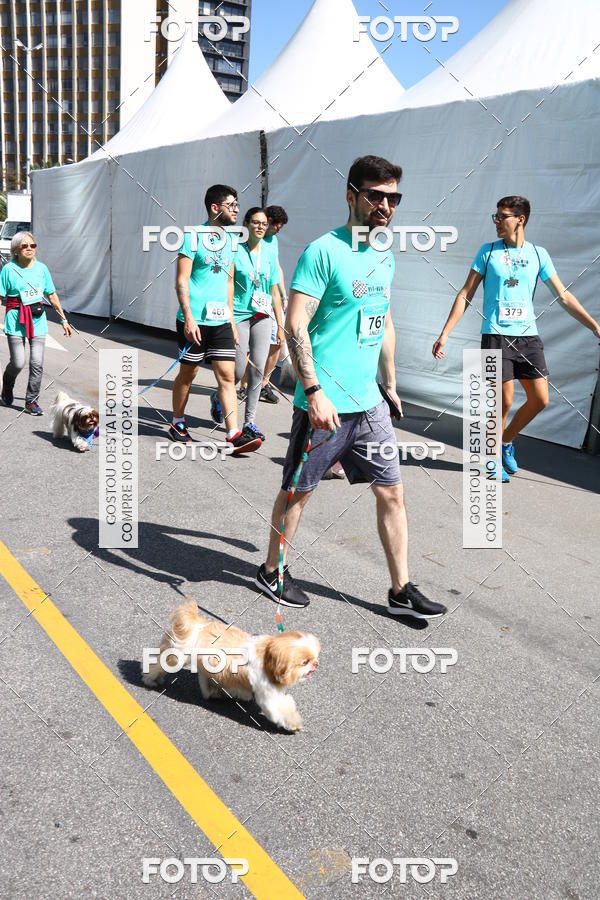 Buy your photos of the event2 Pet Run Shopping Eldorado  on Fotop