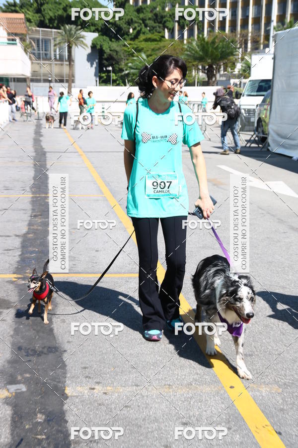 Buy your photos of the event2 Pet Run Shopping Eldorado  on Fotop