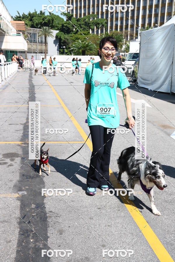 Buy your photos of the event2 Pet Run Shopping Eldorado  on Fotop