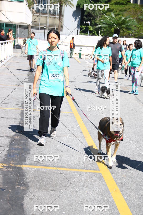 Buy your photos of the event2 Pet Run Shopping Eldorado  on Fotop