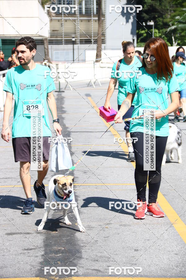 Buy your photos of the event2 Pet Run Shopping Eldorado  on Fotop
