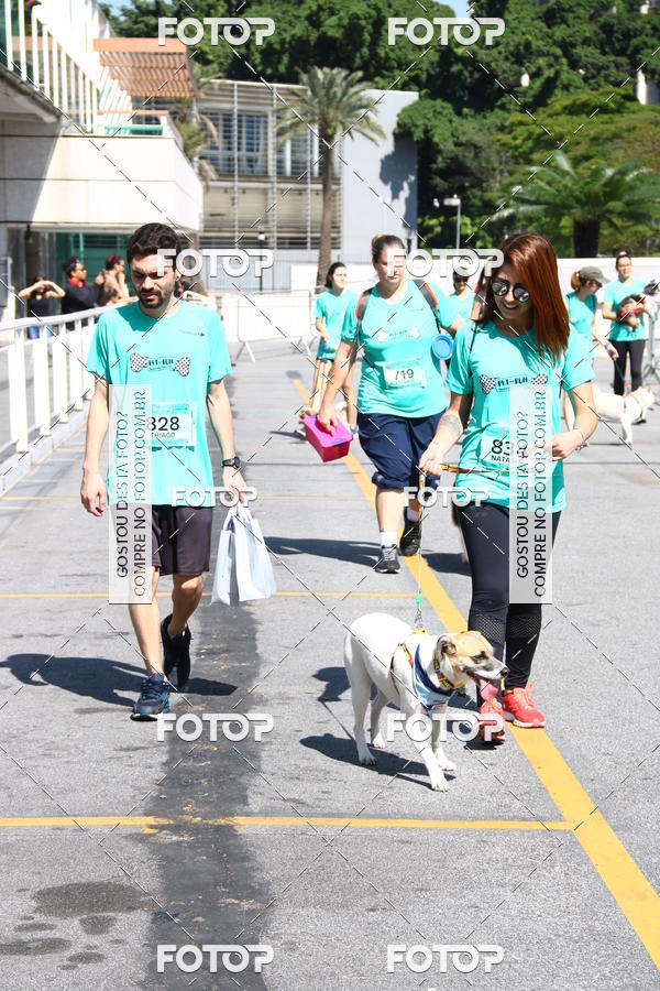 Buy your photos of the event2 Pet Run Shopping Eldorado  on Fotop