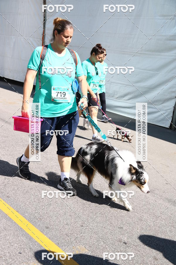Buy your photos of the event2 Pet Run Shopping Eldorado  on Fotop