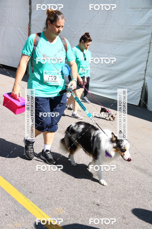 Buy your photos of the event2 Pet Run Shopping Eldorado  on Fotop