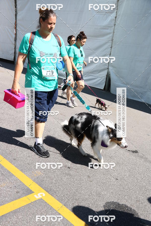 Buy your photos of the event2 Pet Run Shopping Eldorado  on Fotop