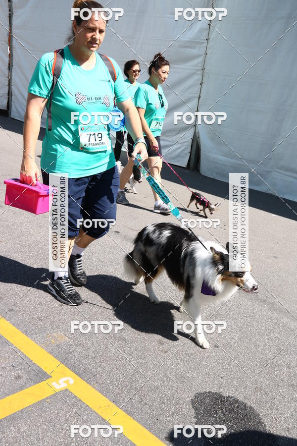 Buy your photos of the event2 Pet Run Shopping Eldorado  on Fotop