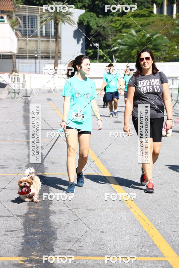 Buy your photos of the event2 Pet Run Shopping Eldorado  on Fotop