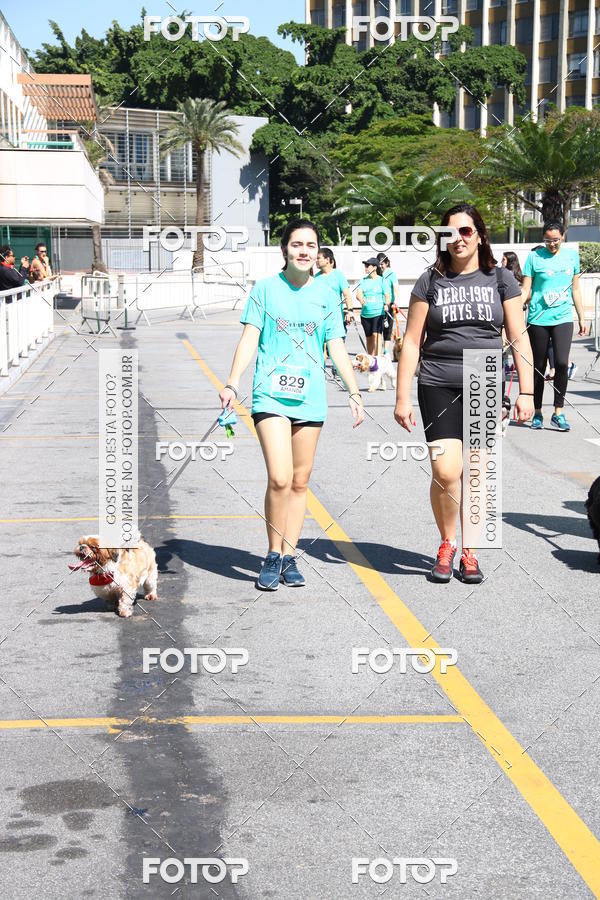 Buy your photos of the event2 Pet Run Shopping Eldorado  on Fotop