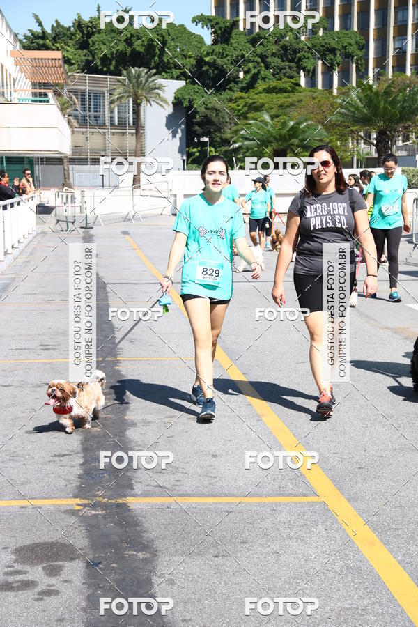 Buy your photos of the event2 Pet Run Shopping Eldorado  on Fotop
