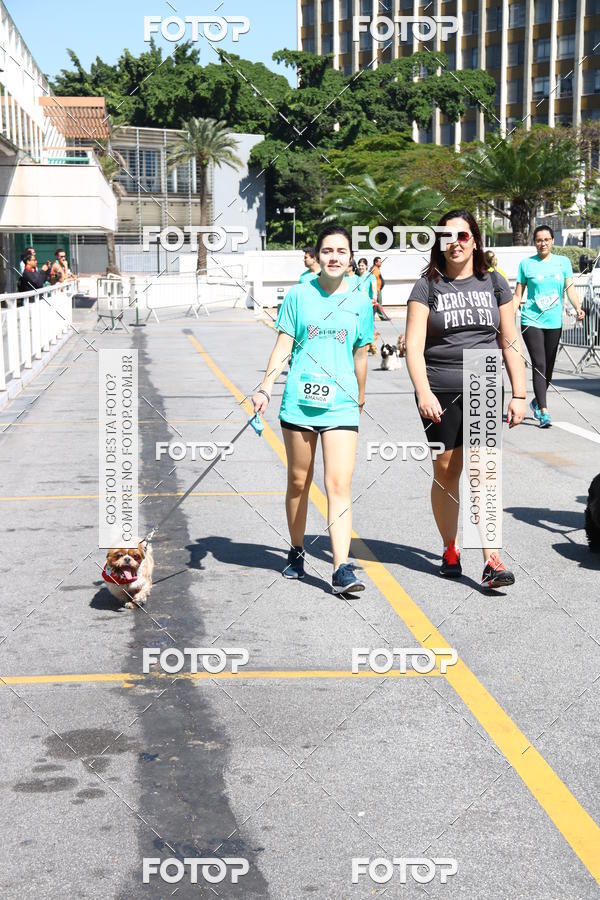 Buy your photos of the event2 Pet Run Shopping Eldorado  on Fotop