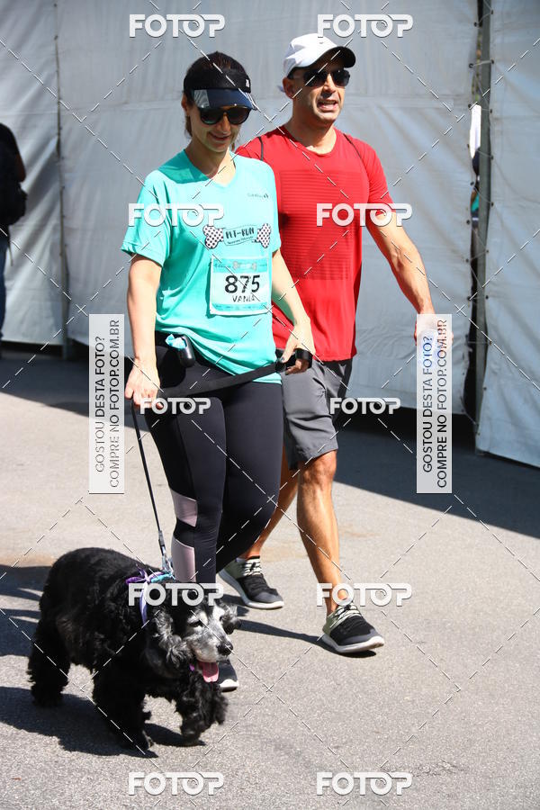 Buy your photos of the event2 Pet Run Shopping Eldorado  on Fotop