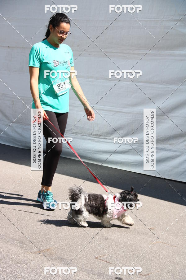 Buy your photos of the event2 Pet Run Shopping Eldorado  on Fotop