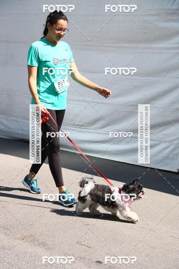 Buy your photos of the event2 Pet Run Shopping Eldorado  on Fotop