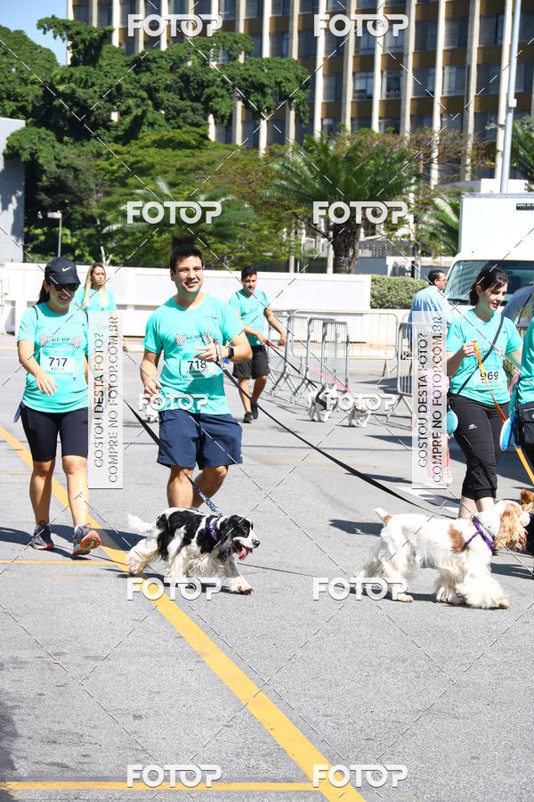 Buy your photos of the event2 Pet Run Shopping Eldorado  on Fotop