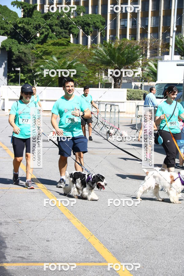 Buy your photos of the event2 Pet Run Shopping Eldorado  on Fotop