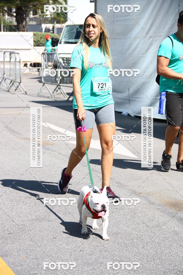 Buy your photos of the event2 Pet Run Shopping Eldorado  on Fotop