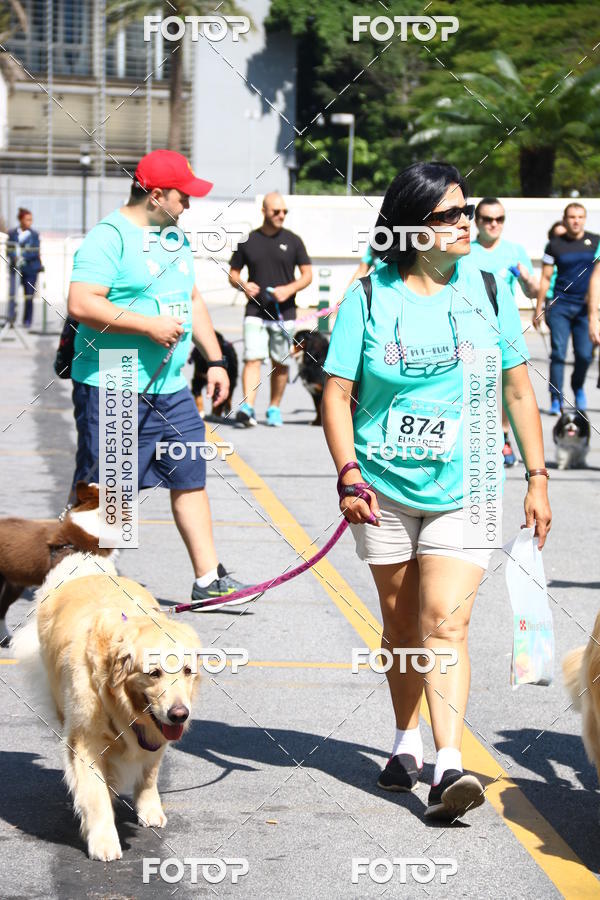 Buy your photos of the event2 Pet Run Shopping Eldorado  on Fotop