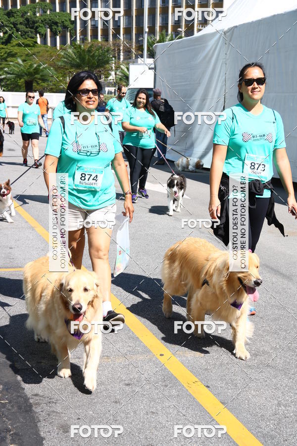 Buy your photos of the event2 Pet Run Shopping Eldorado  on Fotop