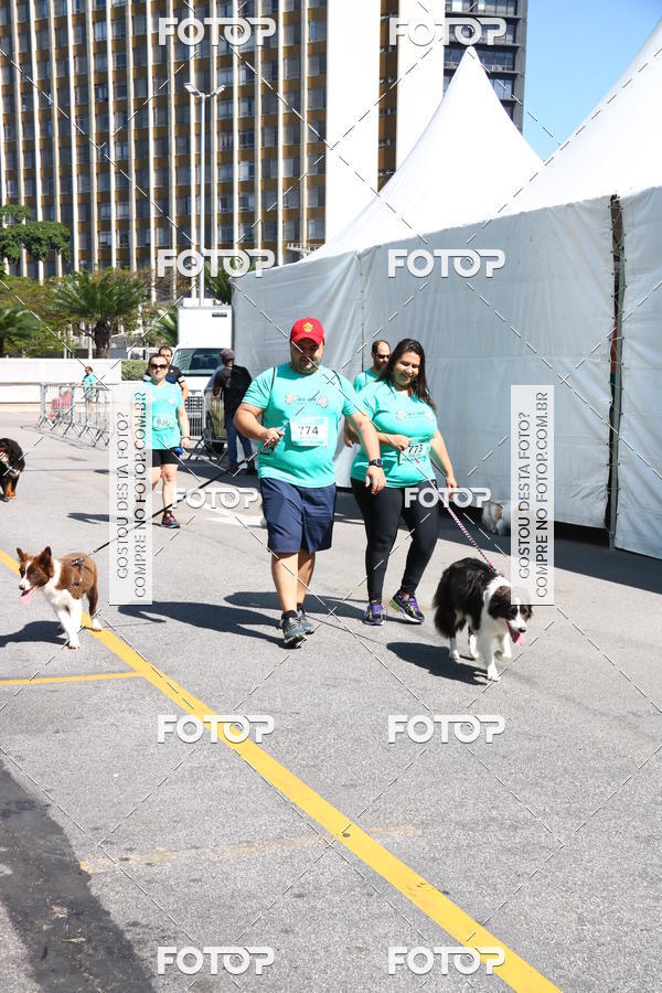 Buy your photos of the event2 Pet Run Shopping Eldorado  on Fotop