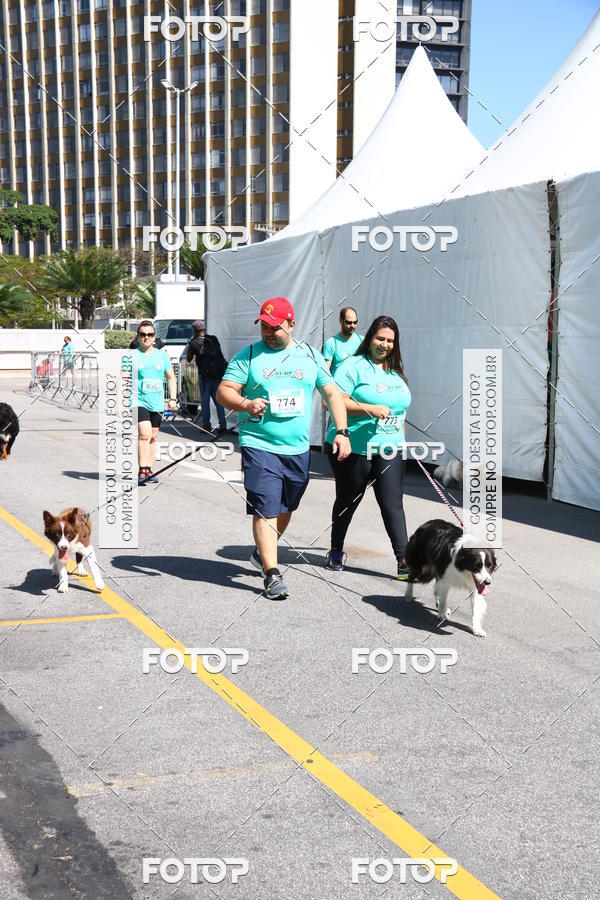 Buy your photos of the event2 Pet Run Shopping Eldorado  on Fotop