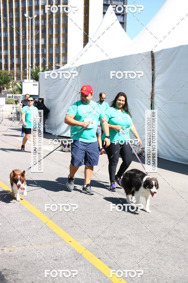 Buy your photos of the event2 Pet Run Shopping Eldorado  on Fotop