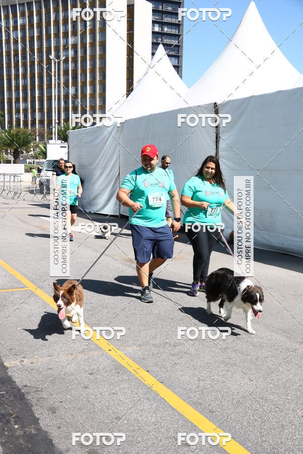 Buy your photos of the event2 Pet Run Shopping Eldorado  on Fotop