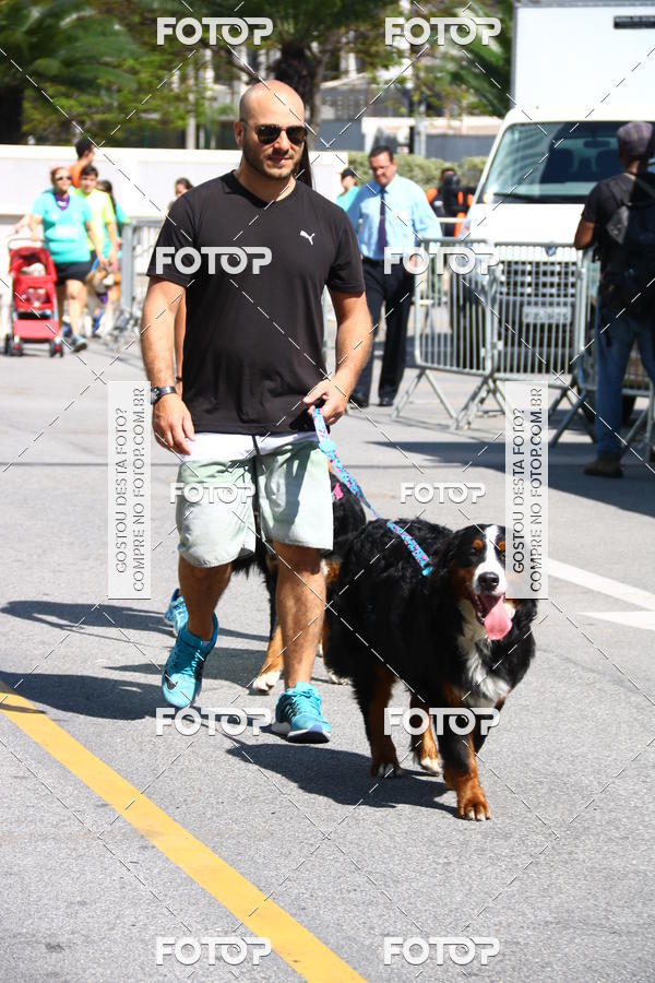 Buy your photos of the event2 Pet Run Shopping Eldorado  on Fotop