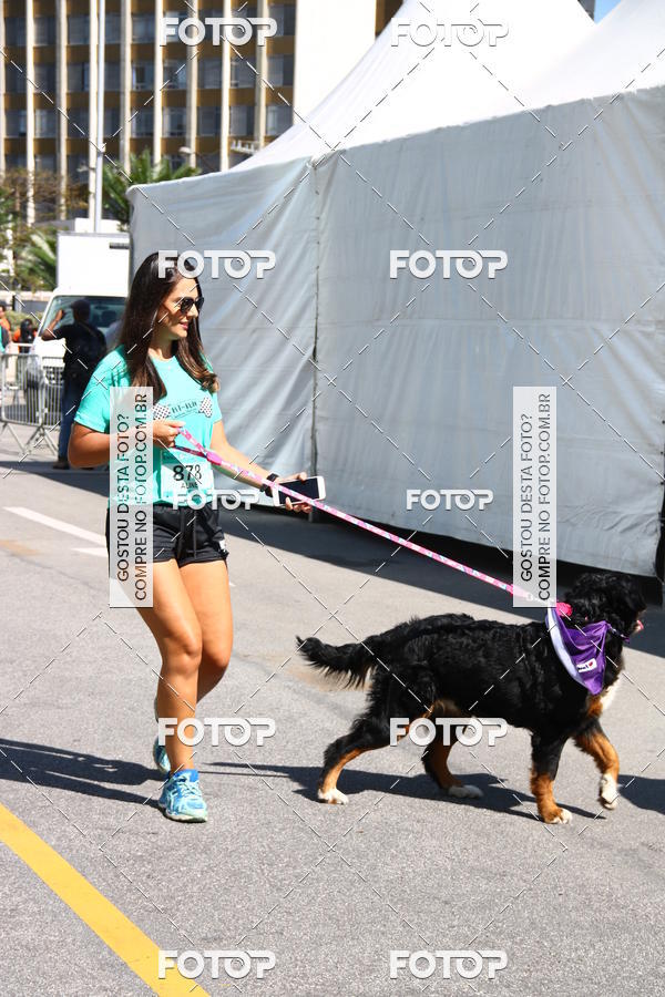 Buy your photos of the event2 Pet Run Shopping Eldorado  on Fotop