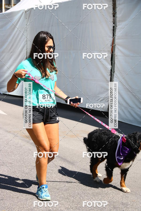 Buy your photos of the event2 Pet Run Shopping Eldorado  on Fotop
