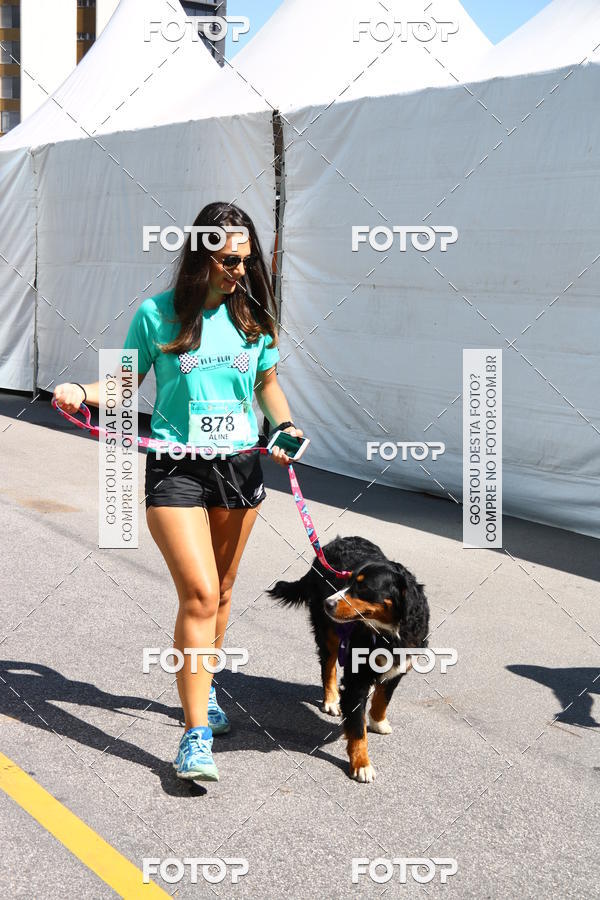Buy your photos of the event2 Pet Run Shopping Eldorado  on Fotop