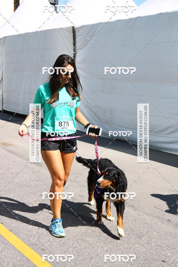 Buy your photos of the event2 Pet Run Shopping Eldorado  on Fotop