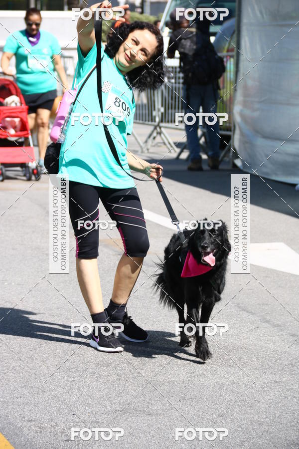 Buy your photos of the event2 Pet Run Shopping Eldorado  on Fotop