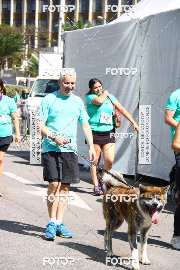 Buy your photos of the event2 Pet Run Shopping Eldorado  on Fotop