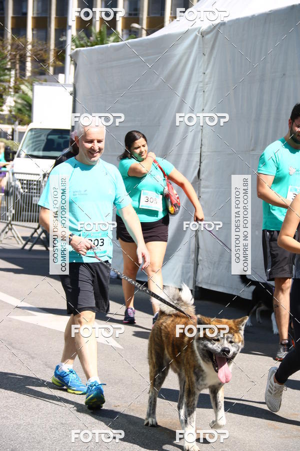 Buy your photos of the event2 Pet Run Shopping Eldorado  on Fotop
