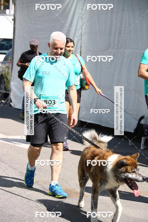 Buy your photos of the event2 Pet Run Shopping Eldorado  on Fotop