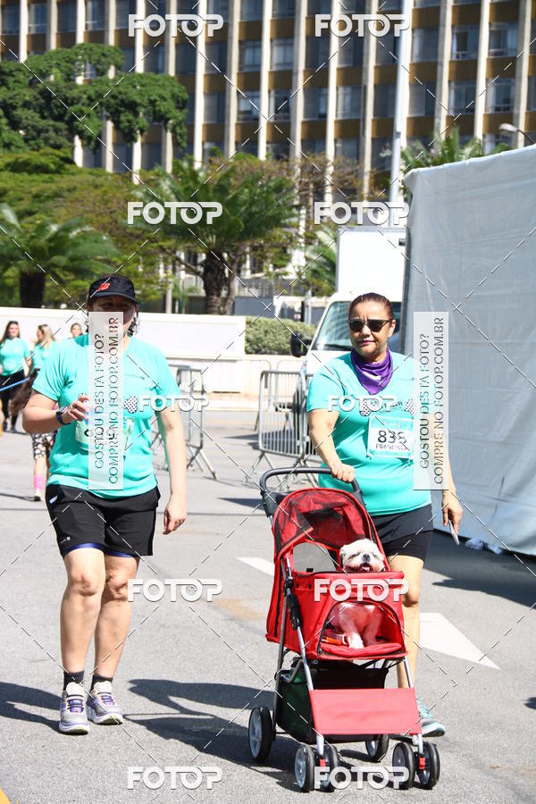 Buy your photos of the event2 Pet Run Shopping Eldorado  on Fotop