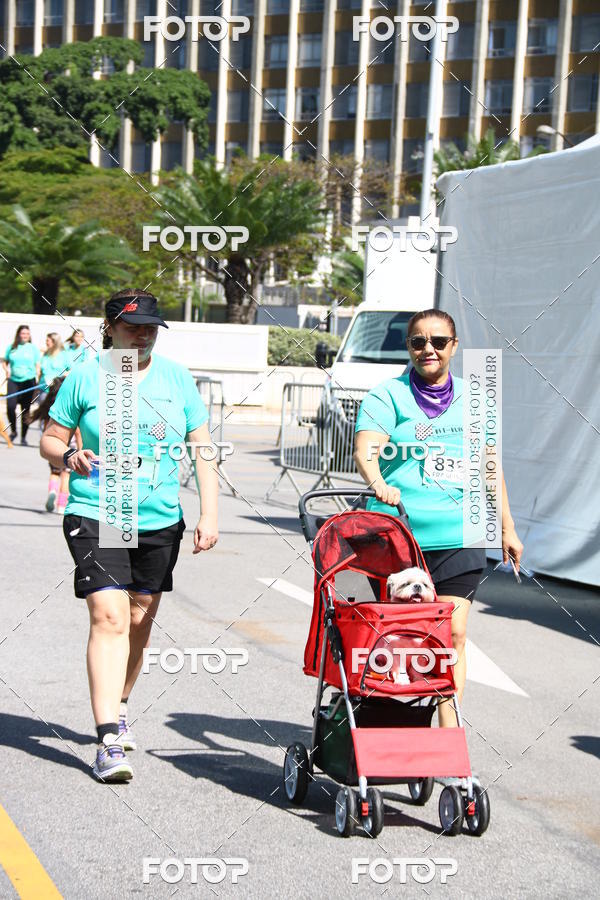 Buy your photos of the event2 Pet Run Shopping Eldorado  on Fotop
